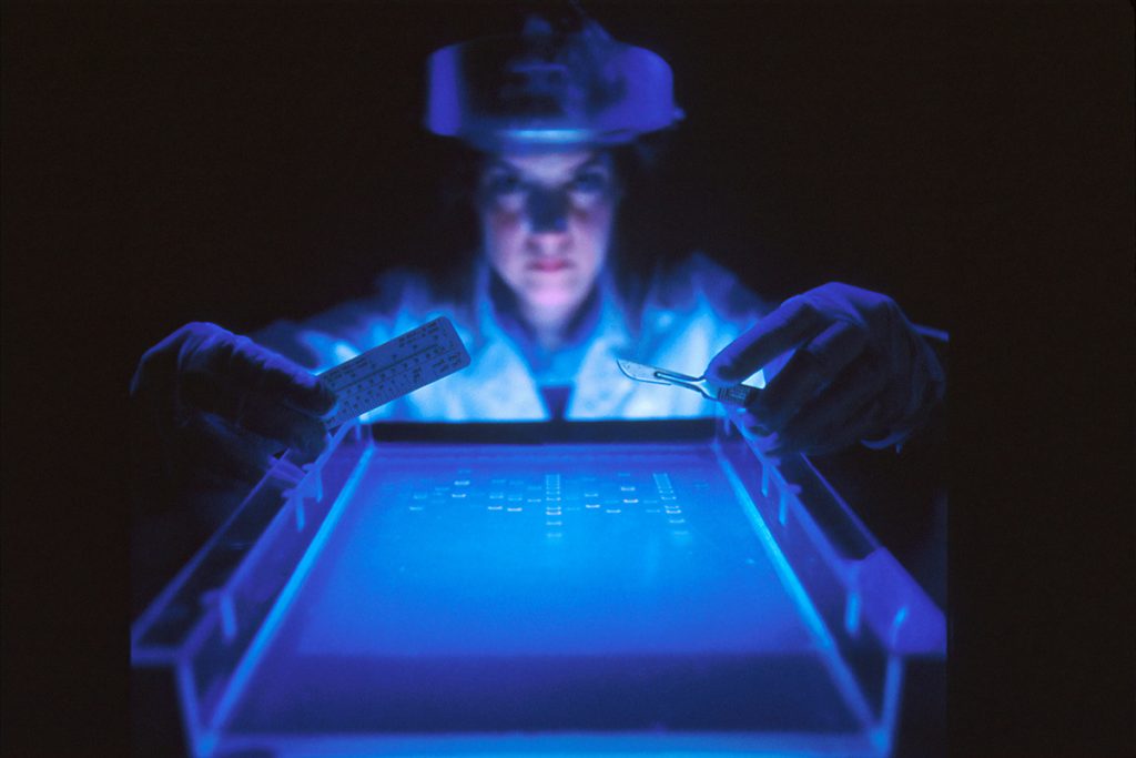 A dye marker on agarose gel used to separate DNA by a female scientist.
